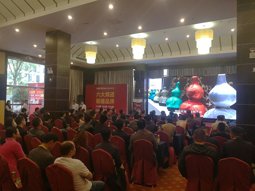 數碼彩新品推介暨戰略峰會安徽站圓滿成功